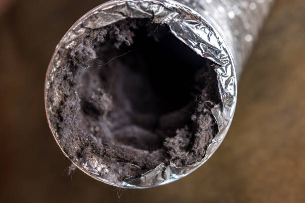 Best Residential Air Duct Cleaning  in Lebanon, IL
